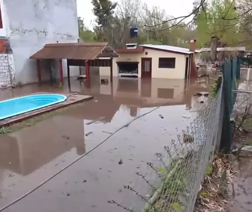 WhatsApp Image 2025-09-03 at 9.25.31 AM