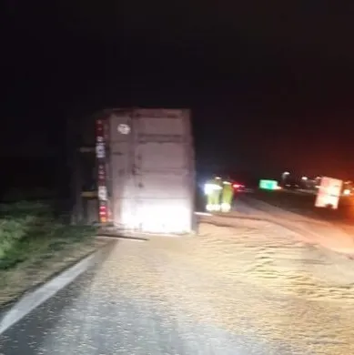 795001f3-23a8-4c00-a0c4-258c8bc45f24-576x1024