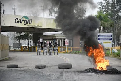 en-algunas-plantas-del-gran-rosario-se-registran-6TZZ2A5EDVDCNOH3DVRFPEUY34