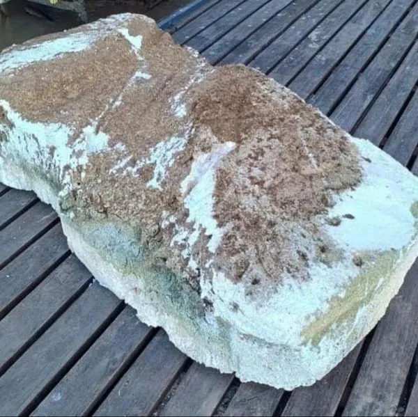 461098316_3760596707589771_4459351428725999063_n