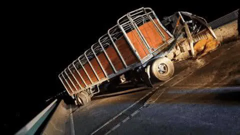 539383813_4086843658298406_2685502980169894631_n