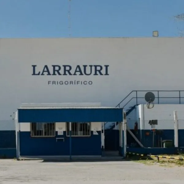 679cebcbedc42-screen-and-max-width480px_600_600!