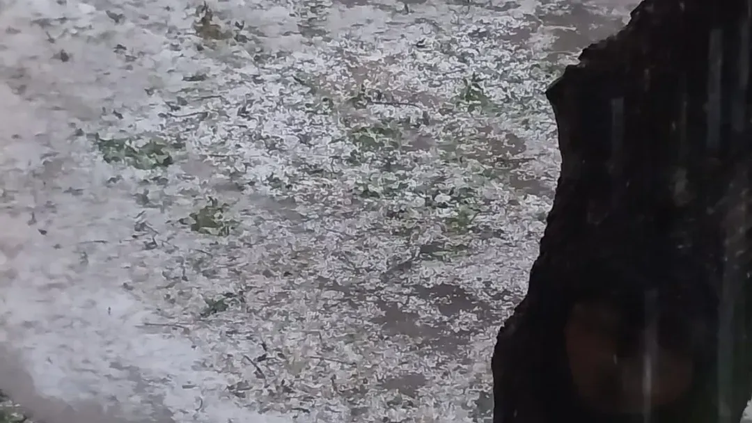 Fuerte caída de Granizo en Baigorria 🌩 El temporal sigue azotando la región en este caso con una pedrada que afecta distintos sectores El reloj marcaba las 8 hs cuando el cielo que venía con relámpago desde (1)
