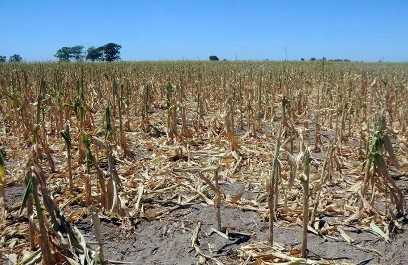 Emergencia-Sequia-StaFe2026