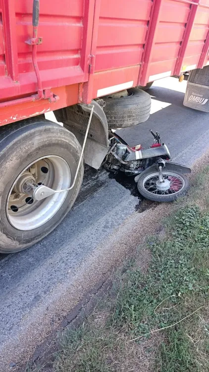 WhatsApp Image 2026-01-29 at 8.08.15 PM