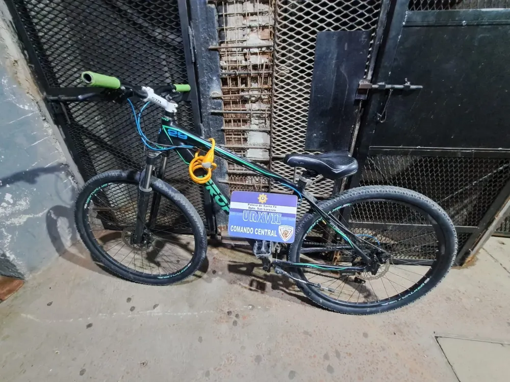 WhatsApp Image 2026-02-11 at 10.19.36 AM