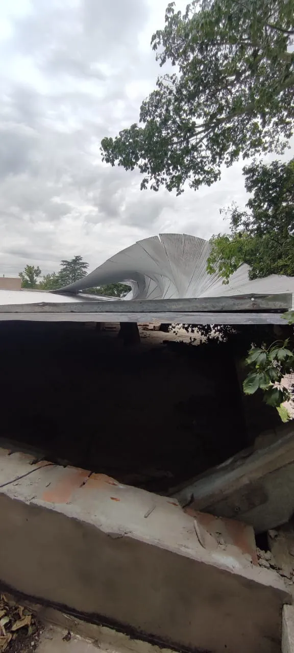 WhatsApp Image 2024-12-19 at 10.33.08 AM