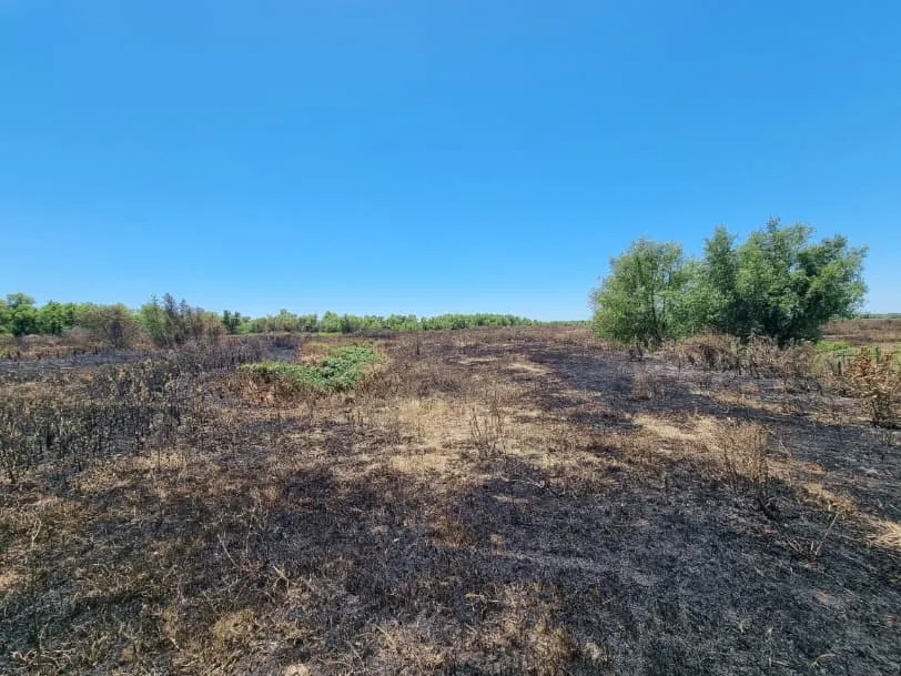 471406036_600300495883076_432807687307105457_n