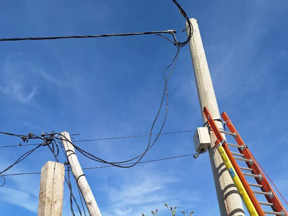 WhatsApp Image 2025-12-01 at 11.19.18 AM