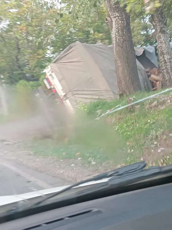 WhatsApp Image 2026-03-12 at 7.44.05 AM (1)