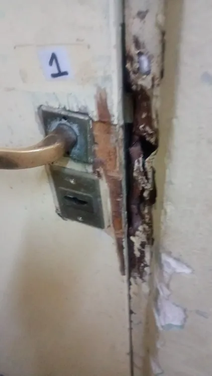 597368434_1897202531174114_94870293546456903_n