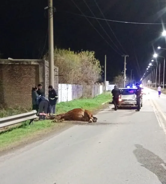 WhatsApp Image 2025-07-25 at 10.23.36 AM