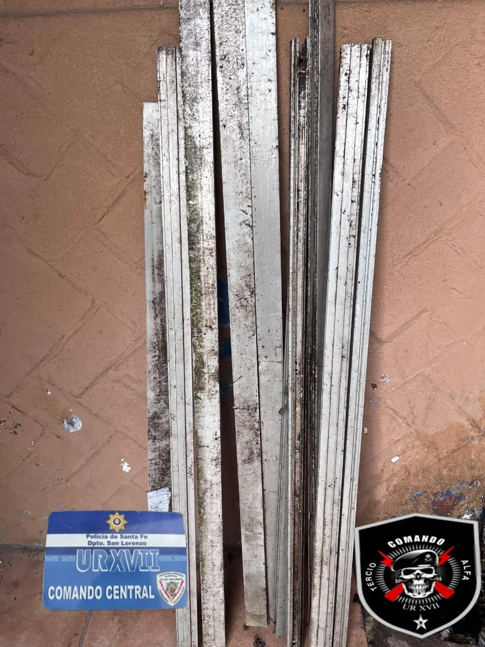 WhatsApp Image 2026-03-23 at 10.10.45 AM