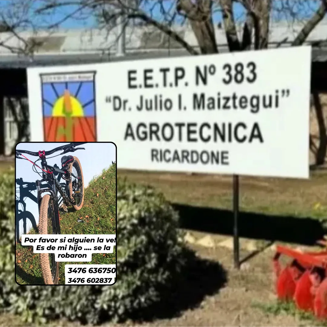 Diseño sin título - 2025-05-07T110000.653