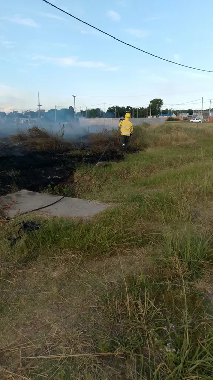 WhatsApp Image 2026-01-31 at 7.21.00 PM