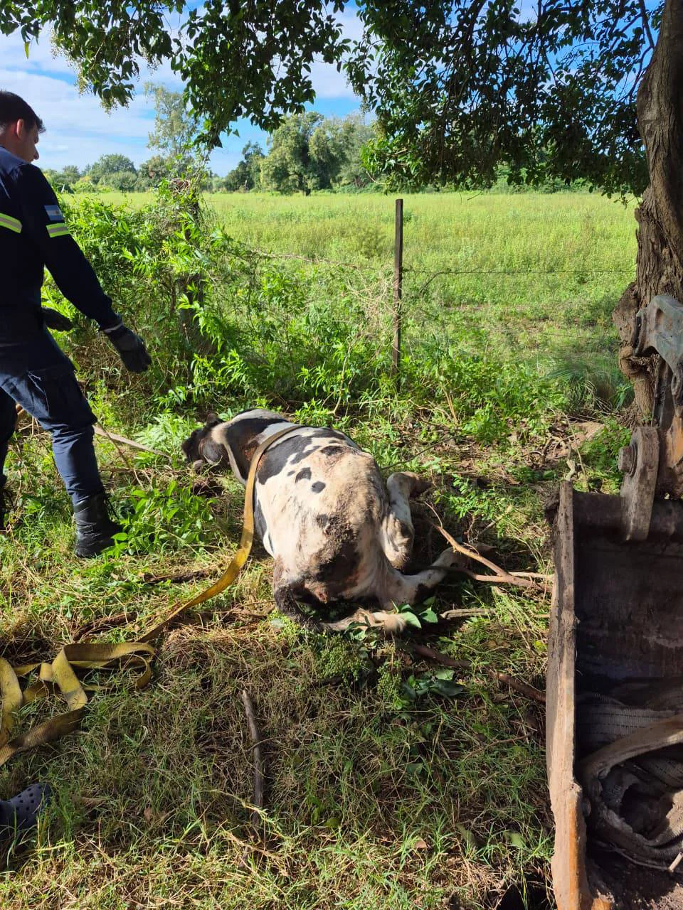 668931921_2186893892143002_5681923748574469553_n