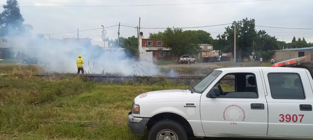 WhatsApp Image 2026-02-09 at 1.18.24 PM