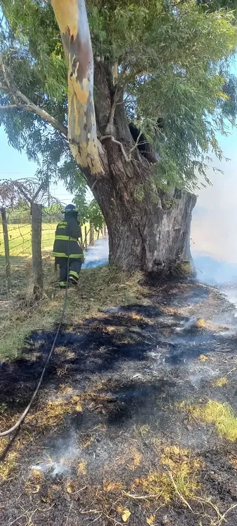 WhatsApp Image 2026-01-28 at 1.37.03 PM