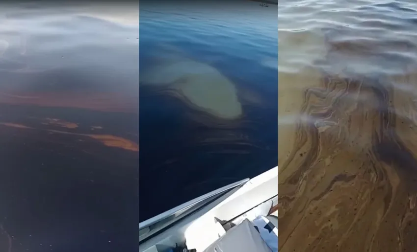 550343w850h515c.jpg.jgp