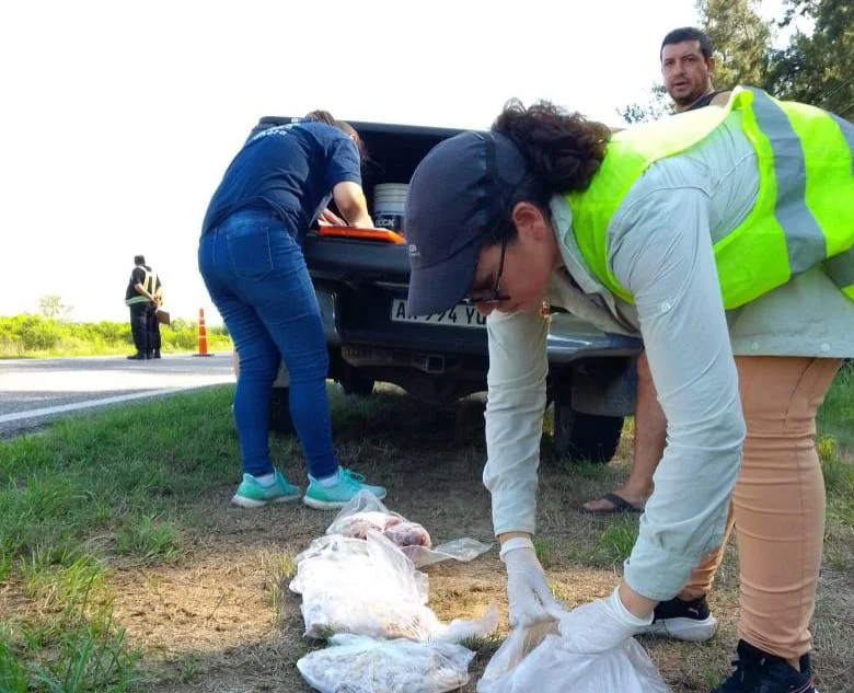 WhatsApp Image 2026-04-01 at 8.09.05 AM