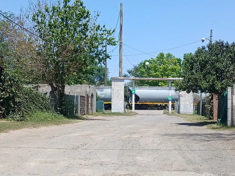 WhatsApp Image 2024-11-16 at 11.51.10 AM