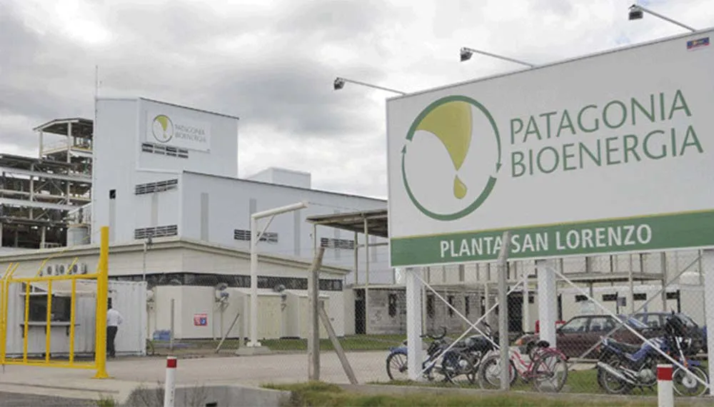 patagonia-bioenergia