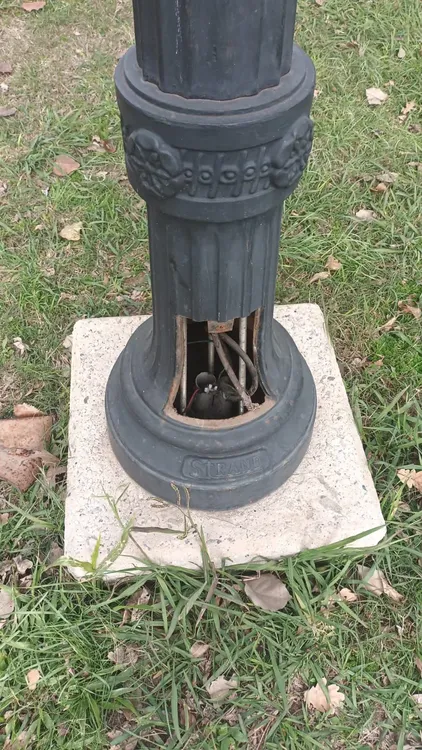 WhatsApp Image 2025-06-09 at 2.31.14 PM