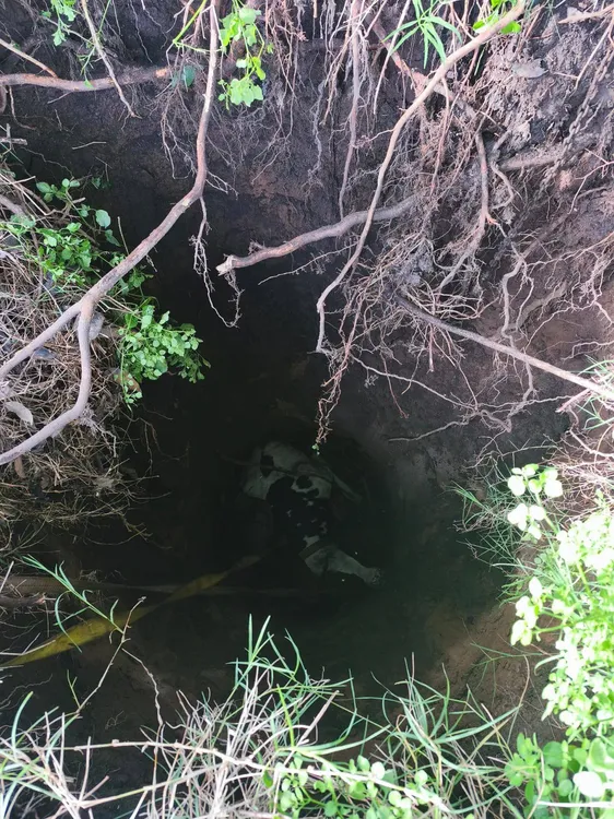 666345030_2186893762143015_1590779955523519880_n