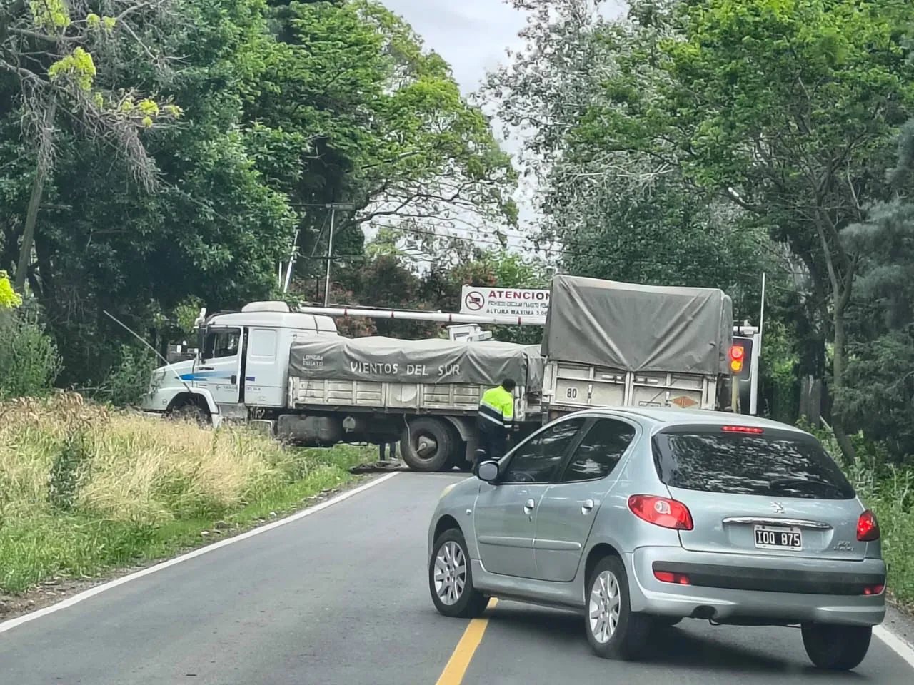 WhatsApp Image 2025-10-28 at 12.21.25 PM (1)