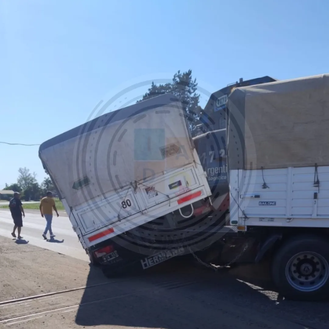 Diseño sin título (26)