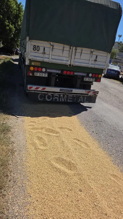 FB_IMG_1769708344303