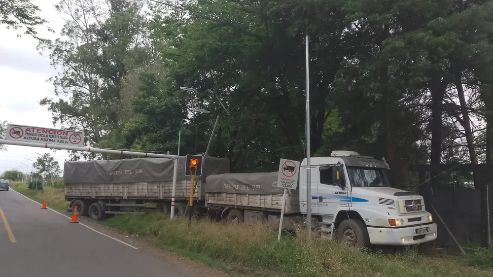 WhatsApp Image 2025-10-29 at 9.17.17 AM (1)