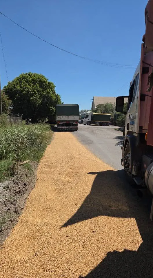 FB_IMG_1769708346953