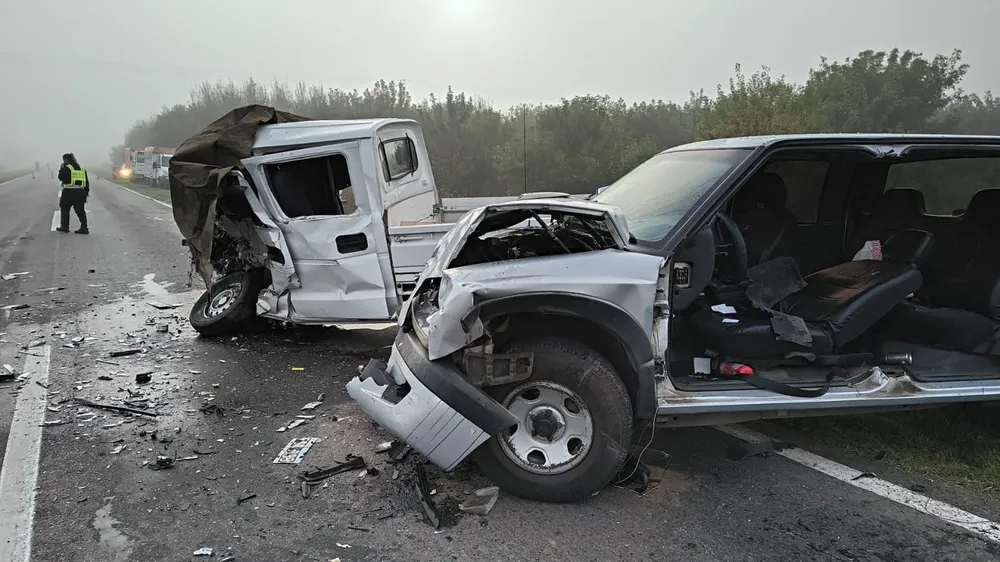 WhatsApp Image 2026-03-12 at 9.54.11 AM