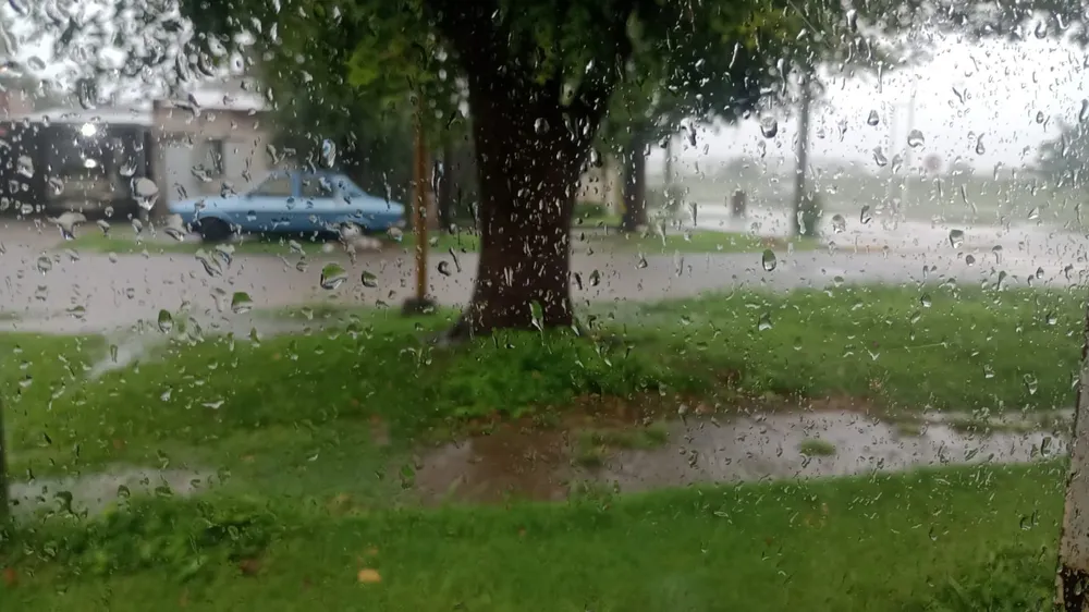 WhatsApp Image 2026-04-06 at 1.38.50 PM