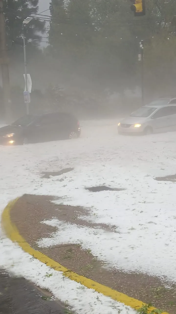 WhatsApp Image 2025-03-28 at 8.26.23 AM