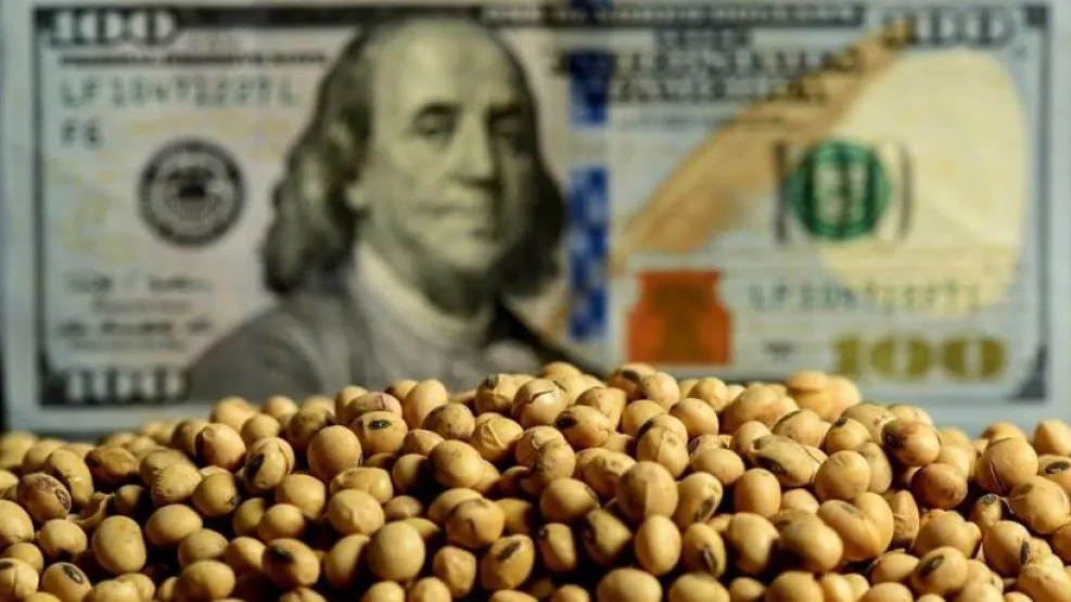 dolares-y-soja-1927117