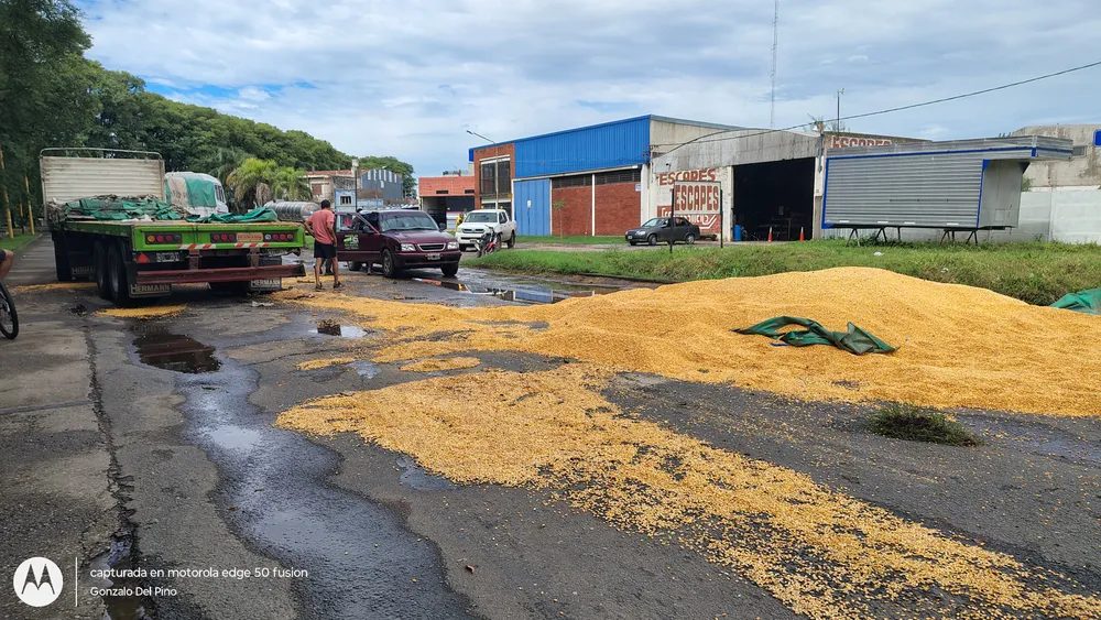 IMG_20260402_115047783_HDR