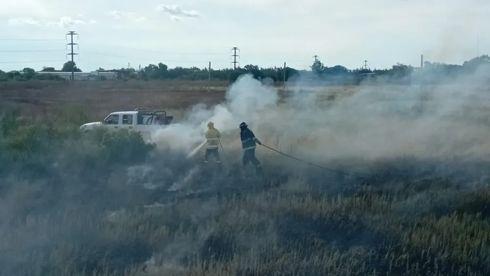 WhatsApp Image 2026-01-27 at 6.44.38 PM