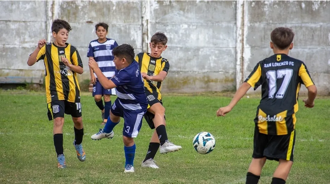 DeWatermark.ai_1737637790163