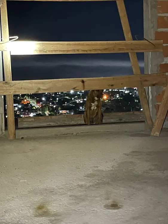 WhatsApp Image 2026-02-10 at 10.32.31 PM