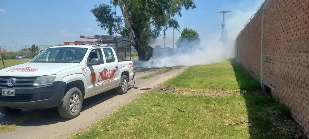 WhatsApp Image 2026-01-28 at 1.37.04 PM