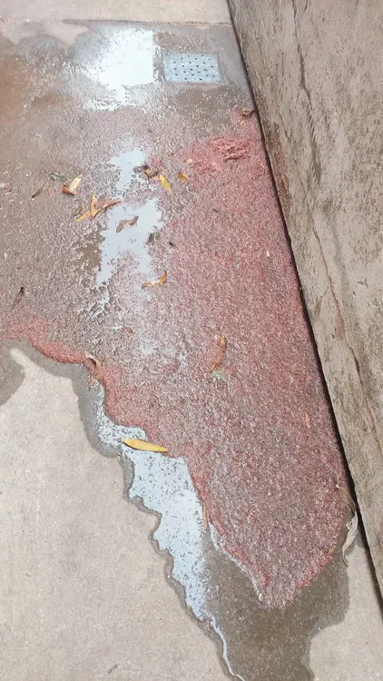 multimedia.grande.b99094b74500b2d8.NDUxNzY0NjE2XzI3NzExMDQ1Njk3MTk3MDNfOTAwNjhfZ3JhbmRlLndlYnA=