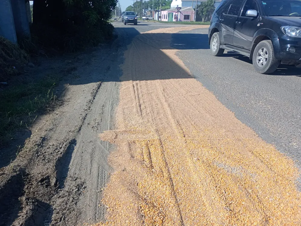 WhatsApp Image 2025-11-20 at 12.55.49 PM