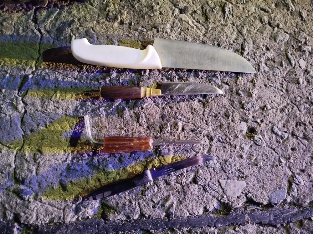 WhatsApp Image 2026-02-20 at 9.00.51 AM