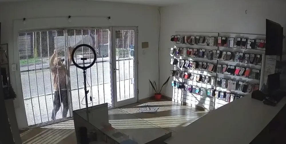 547828989_4108391066143665_7591139136230557354_n