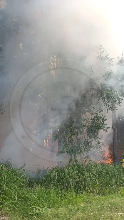 608763910_1331010182374371_971882145901656494_n