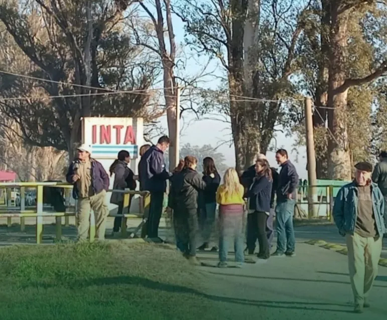 DeWatermark.ai_1751984508854