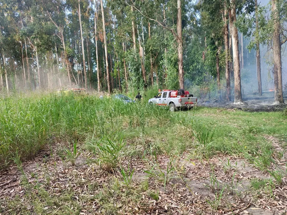 WhatsApp Image 2026-01-05 at 7.44.44 AM