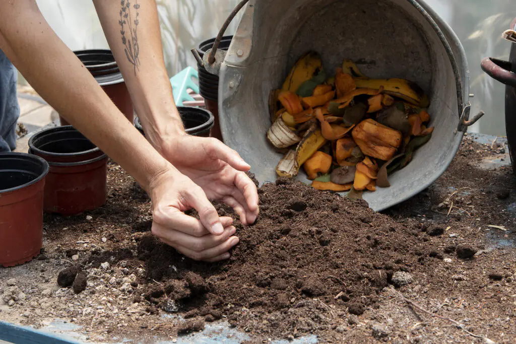 compost-1024x683